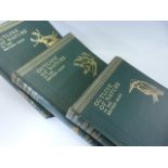 Three Books - Sir John Hammerton - The Outline of Nature - Three volumes.