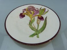 Early Wedgwood Flora Plate ' Dingy Coloured Flag' 7.25in. Red enamel lettering to back.