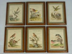 Very Rare set of six Late 18th Century British Birds hand coloured prints by T. Lord - featuring a