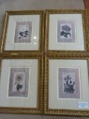 Shelly Hely - Set of four botanical prints - signed.