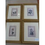 Shelly Hely - Set of four botanical prints - signed.