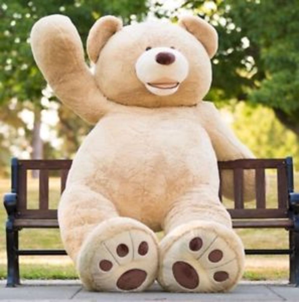 CHARITY AUCTION **WIN** A Hugfun 93" (236cm) Plush Sitting Bear. All Proceeds will go to Bloodwise (formerly Leukaemia and Lymphoma Research)