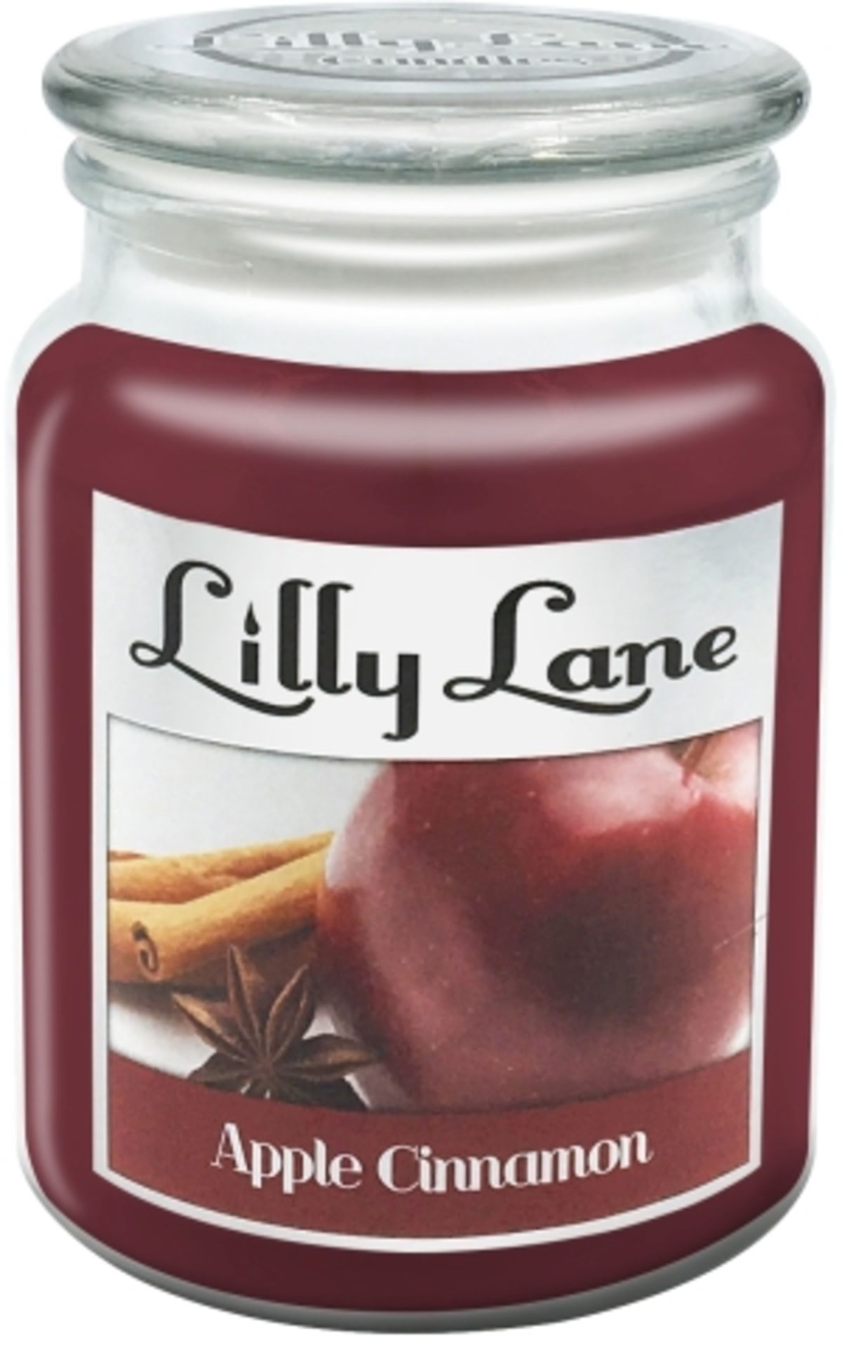 6pcs in carton brand new sealed Lilly Lane Apple Cinnamon 18oz long lasting strong scented slow burn