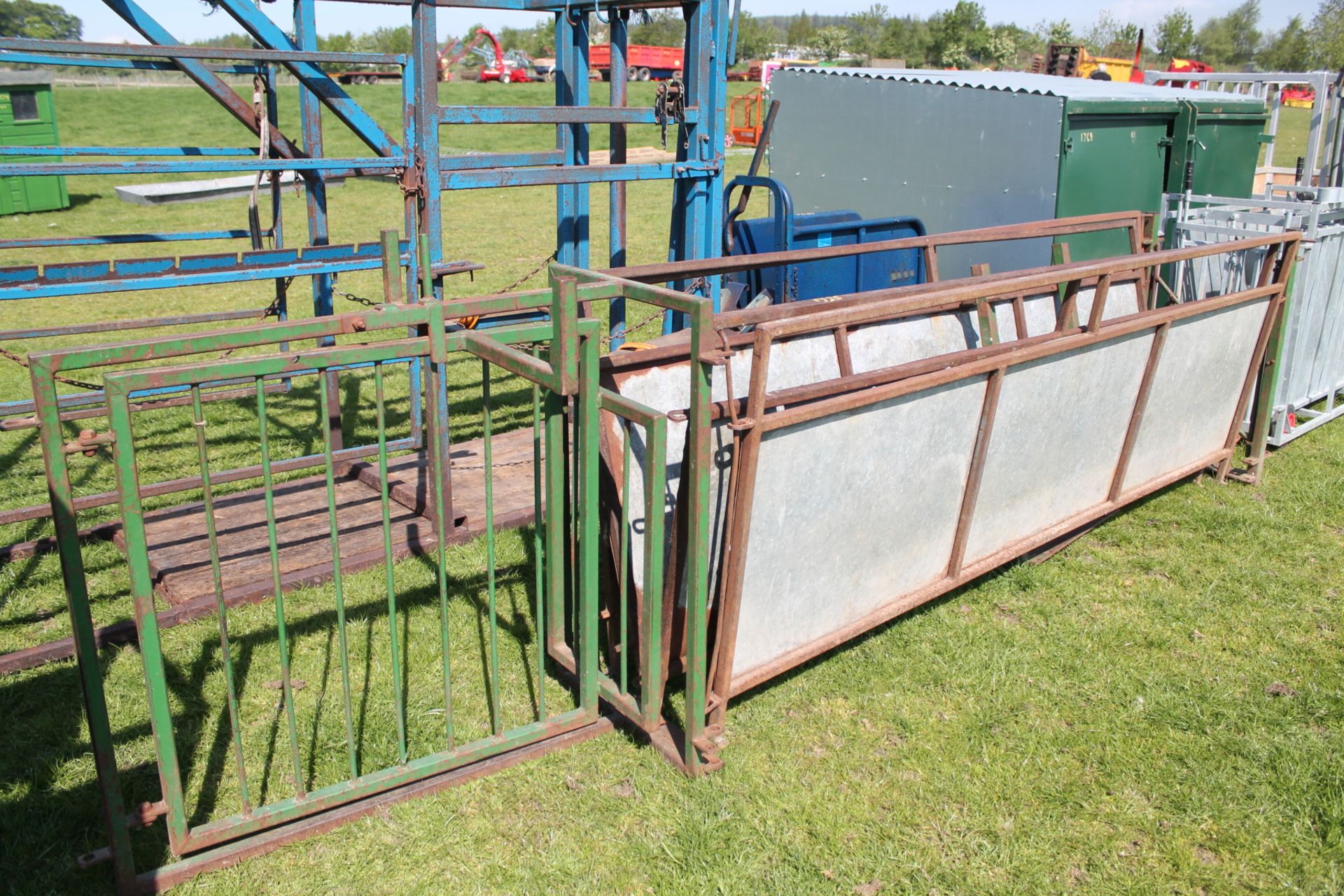 SHEEP RACE C/W SHEDDING GATE