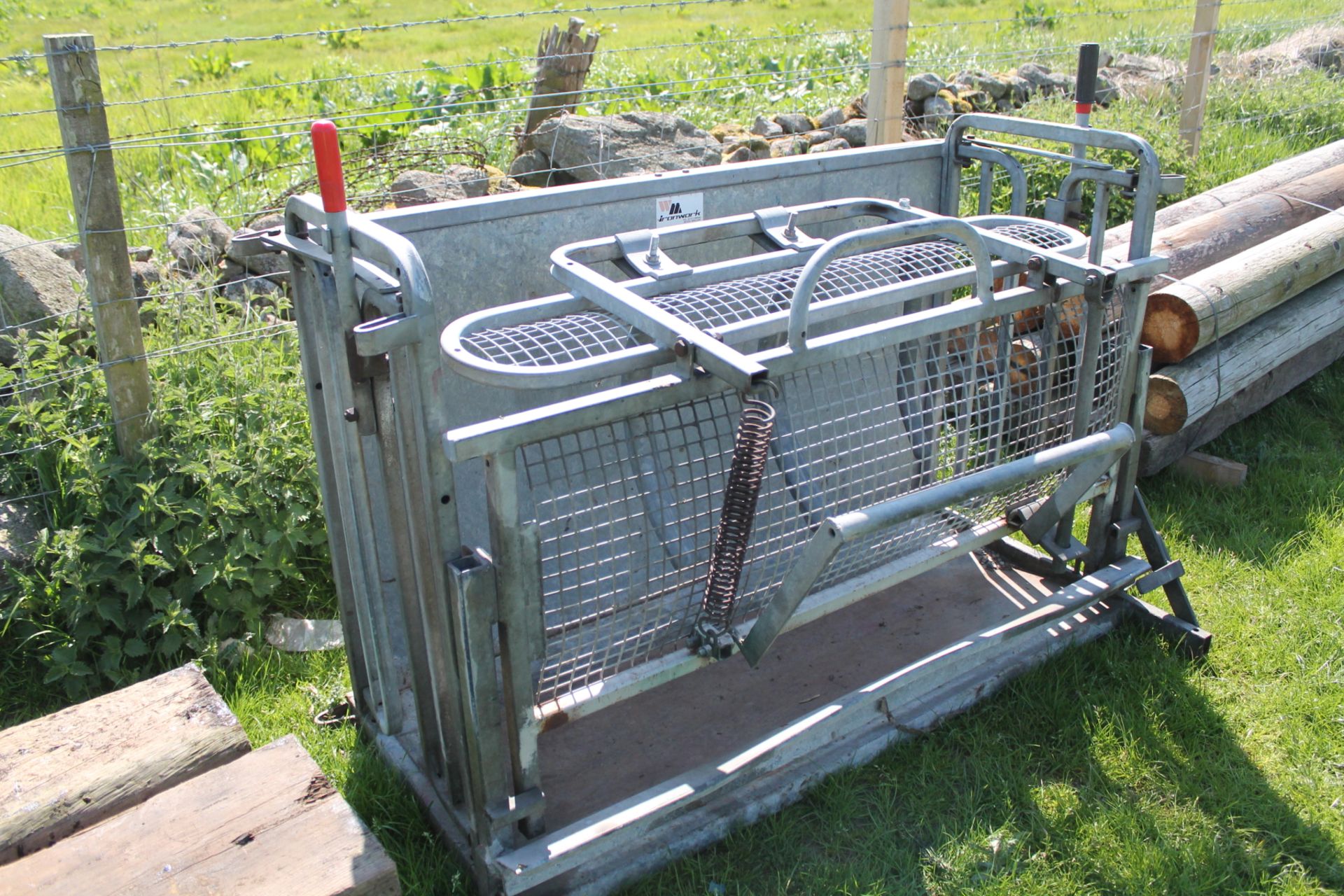 SHEEP TURN OVER CRATE