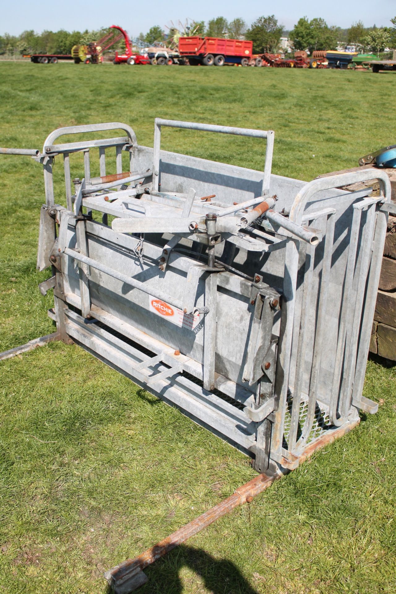 RITCHIE SHEEP TURNOVER CRATE