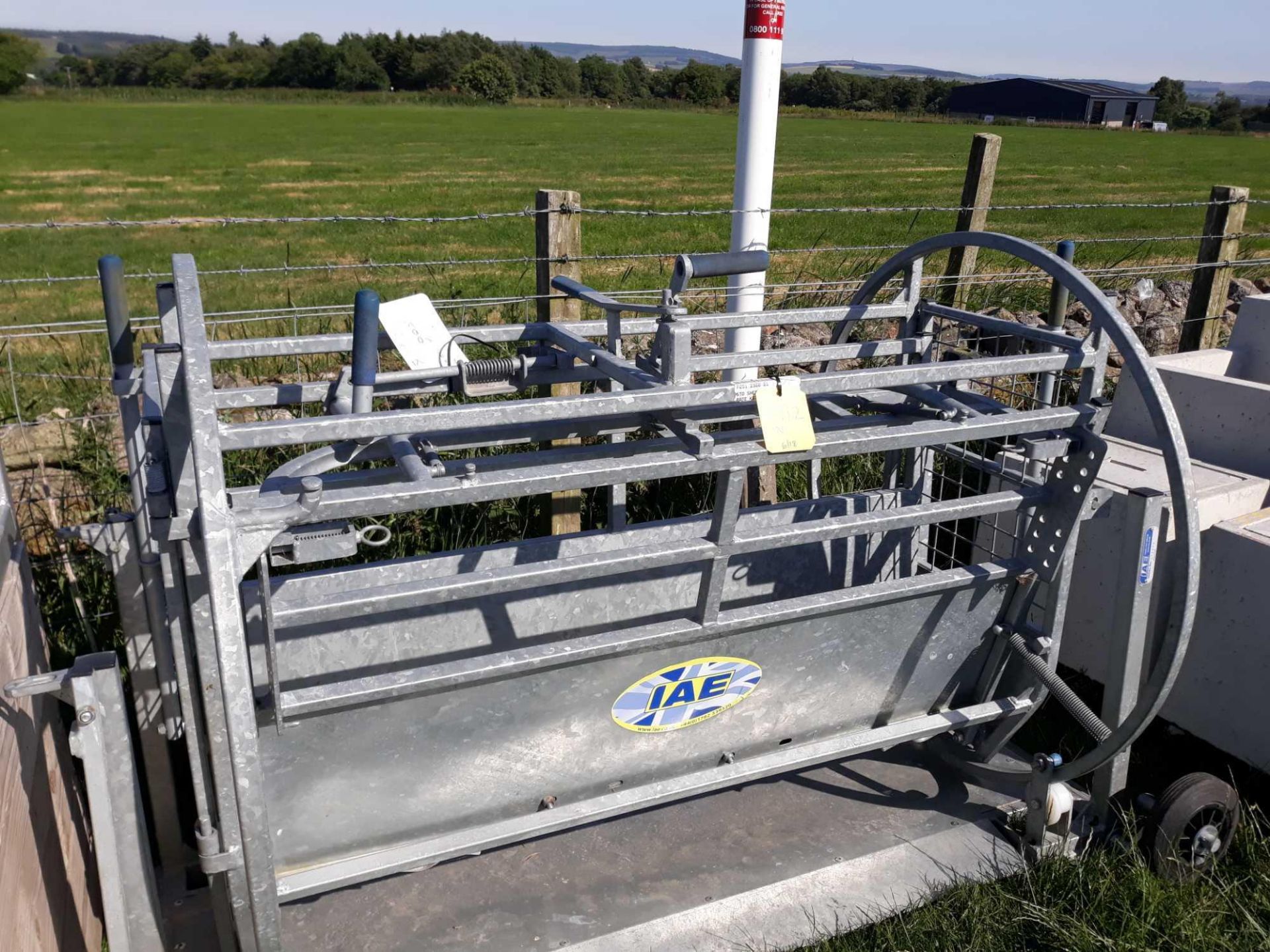 SHEEP TURNOVER CRATE