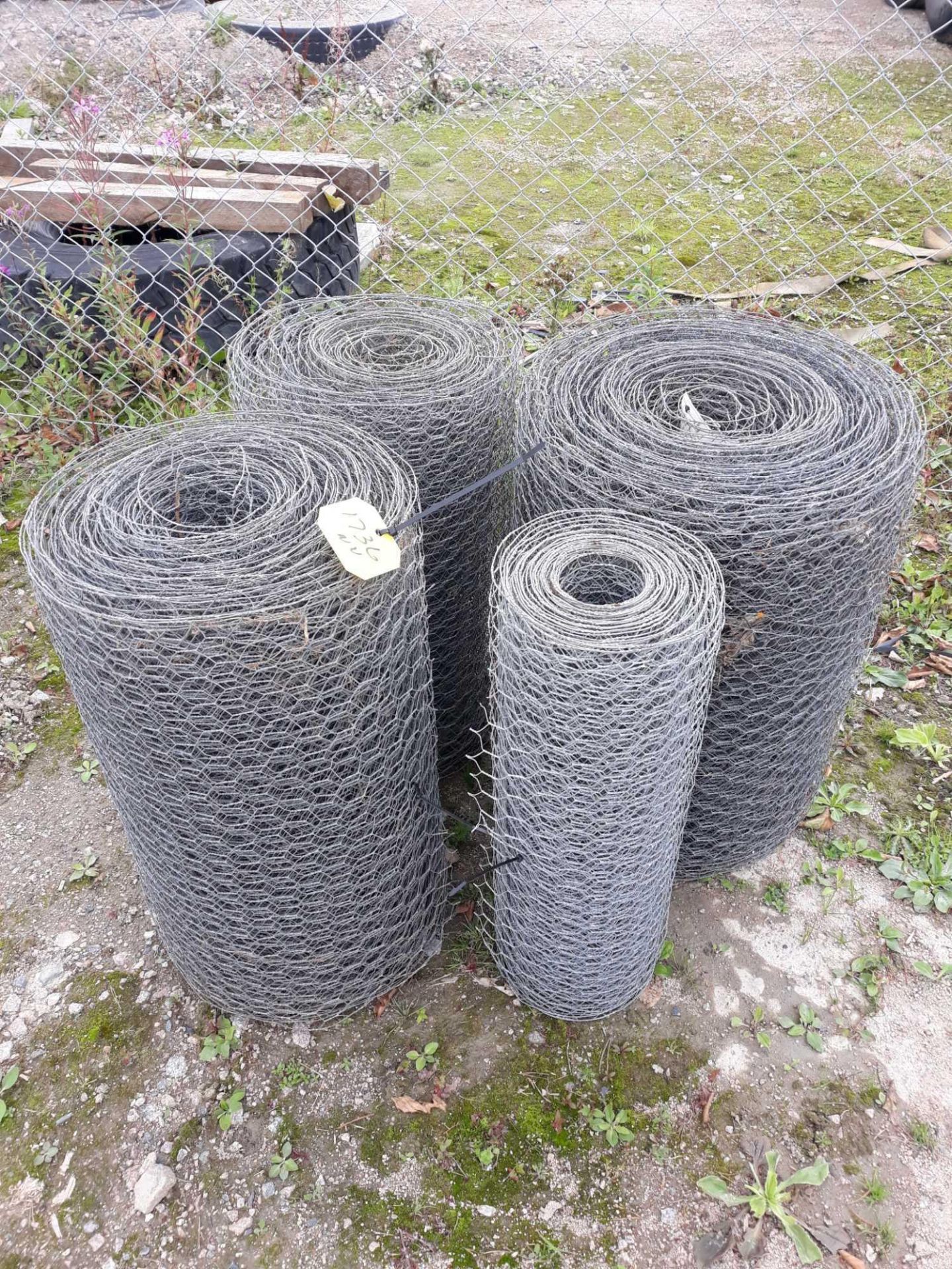 4 ROLLS 600M RABBIT NETTING