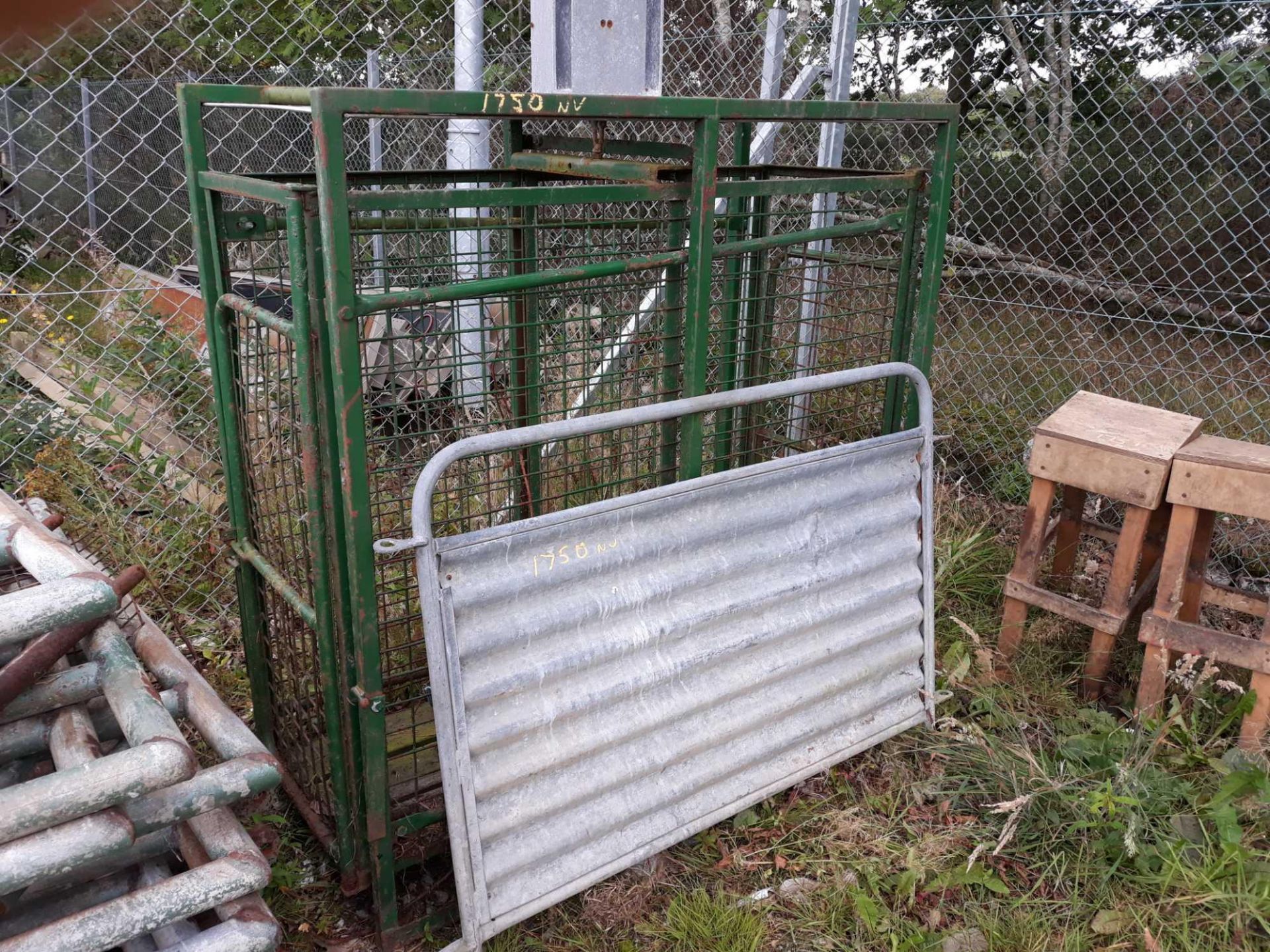 SHEEP WEIGH CRATE + GATE