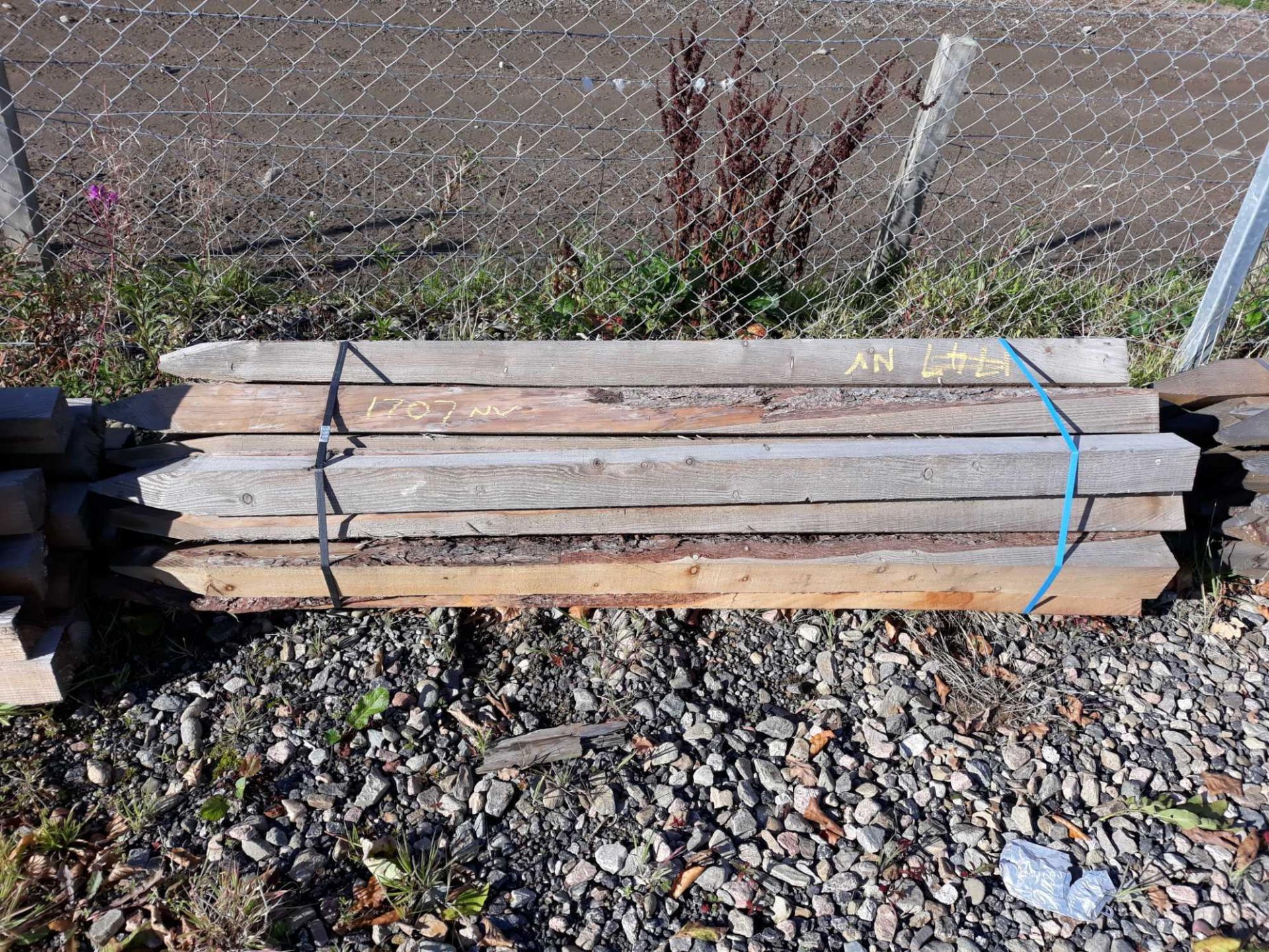 25 LARCH POSTS