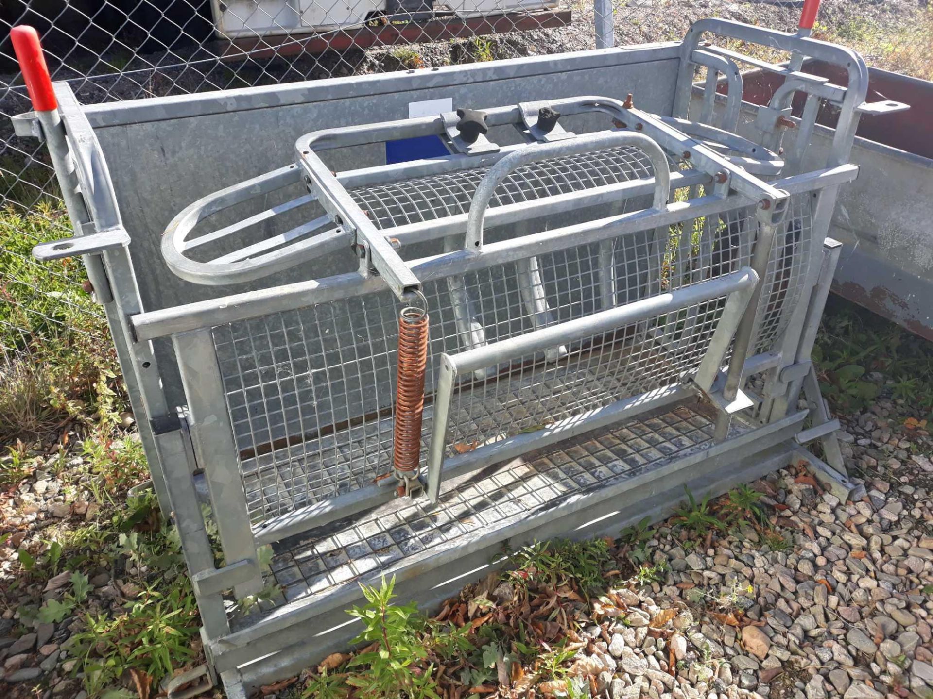 SHEEP TURNOVER CRATE