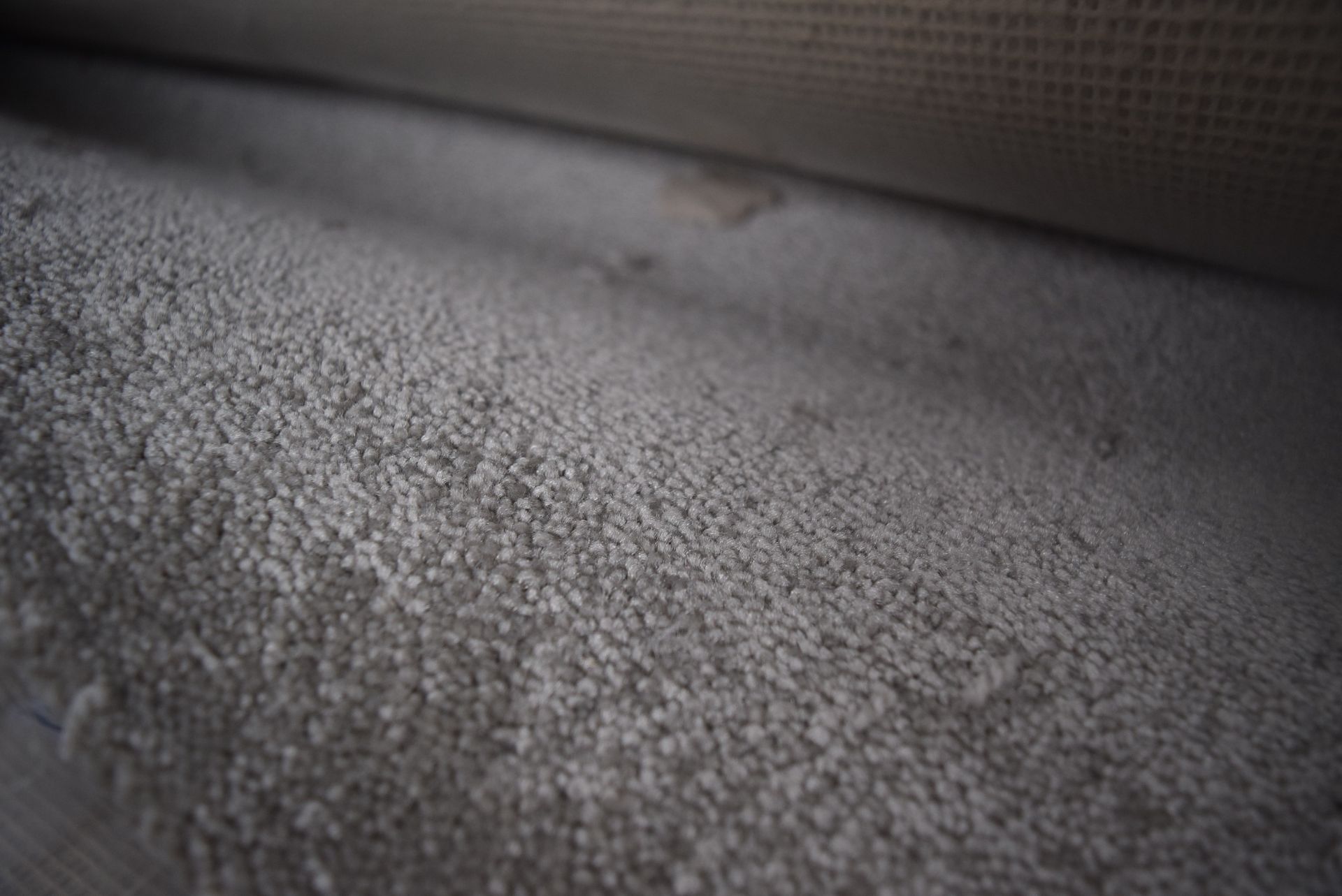 1 X ROLL OF SALISBURY TWIST CARPET 5X3.14M COVERS 15.7SQM RRP £266 973069 W956