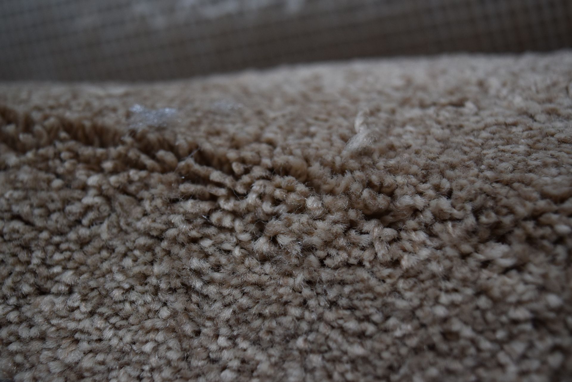 1 X ROLL OF WARWICK TWIST CARPET 5X1.32M COVERS 6.6SQM RRP £112 746217