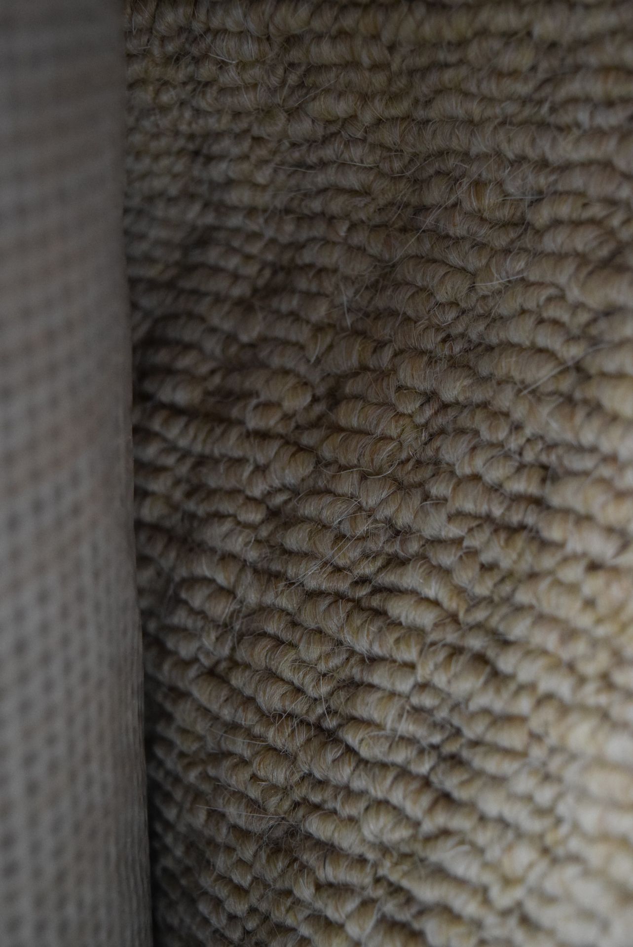 1 X ROLL OF SAHARA BLEND CARPET 5X2.06M COVERS 10.3SQM RRP £175 586679