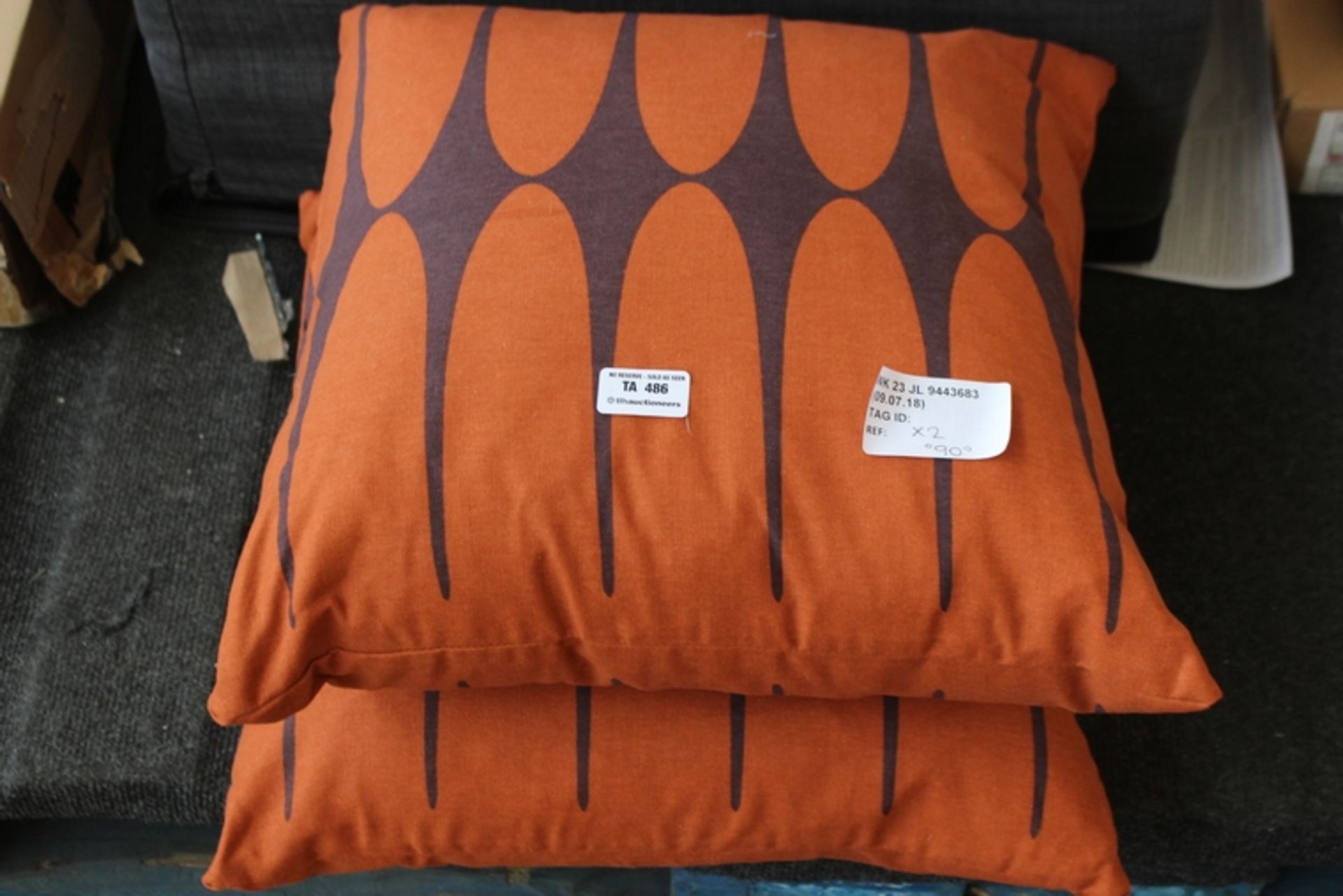 2X DESIGNER PILLOWS COMBINED RRP £90 (09.07.18)