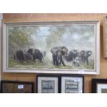 Framed D Shepherd print of elephants, 1962
