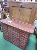 Multi-drawer specimen cabinet with 20 drawers & portable drawer unit