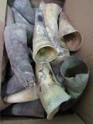 A collection of approx 30 various African horns from various species