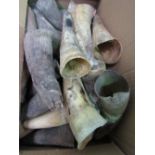 A collection of approx 30 various African horns from various species