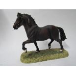 Border Fine Arts 'Welsh Cob stallion Section D' limited edition 203 of 1250 Model B0240B