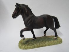 Border Fine Arts 'Welsh Cob stallion Section D' limited edition 203 of 1250 Model B0240B