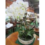 Large display of 6 artificial orchids in round stone-effect pot
