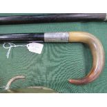 Horn handled ebony wood walking stick with large HM silver collar in form of a 4 bar buckle.