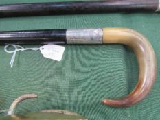 Horn handled ebony wood walking stick with large HM silver collar in form of a 4 bar buckle.