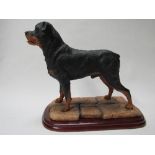 Border Fine Arts 'Rottweiler Standing' (Style Three) Model No A2699