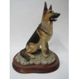 Border of Fine Arts German Shepherd