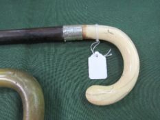 Ivory handled rosewood walking stick with HM silver collar, London 1885