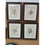 4 framed & glazed botanical prints