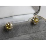 Pair of white & yellow floral set diamond earrings. Price guide £30-50.