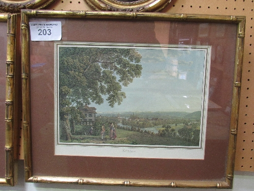 2 gilt bamboo-effect framed & glazed French prints. Price guide £10-20.