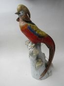 19th century Ernst Bohne Sohne, Rudolstadt, Thuringia Golden Pheasant figurine with golden crest.