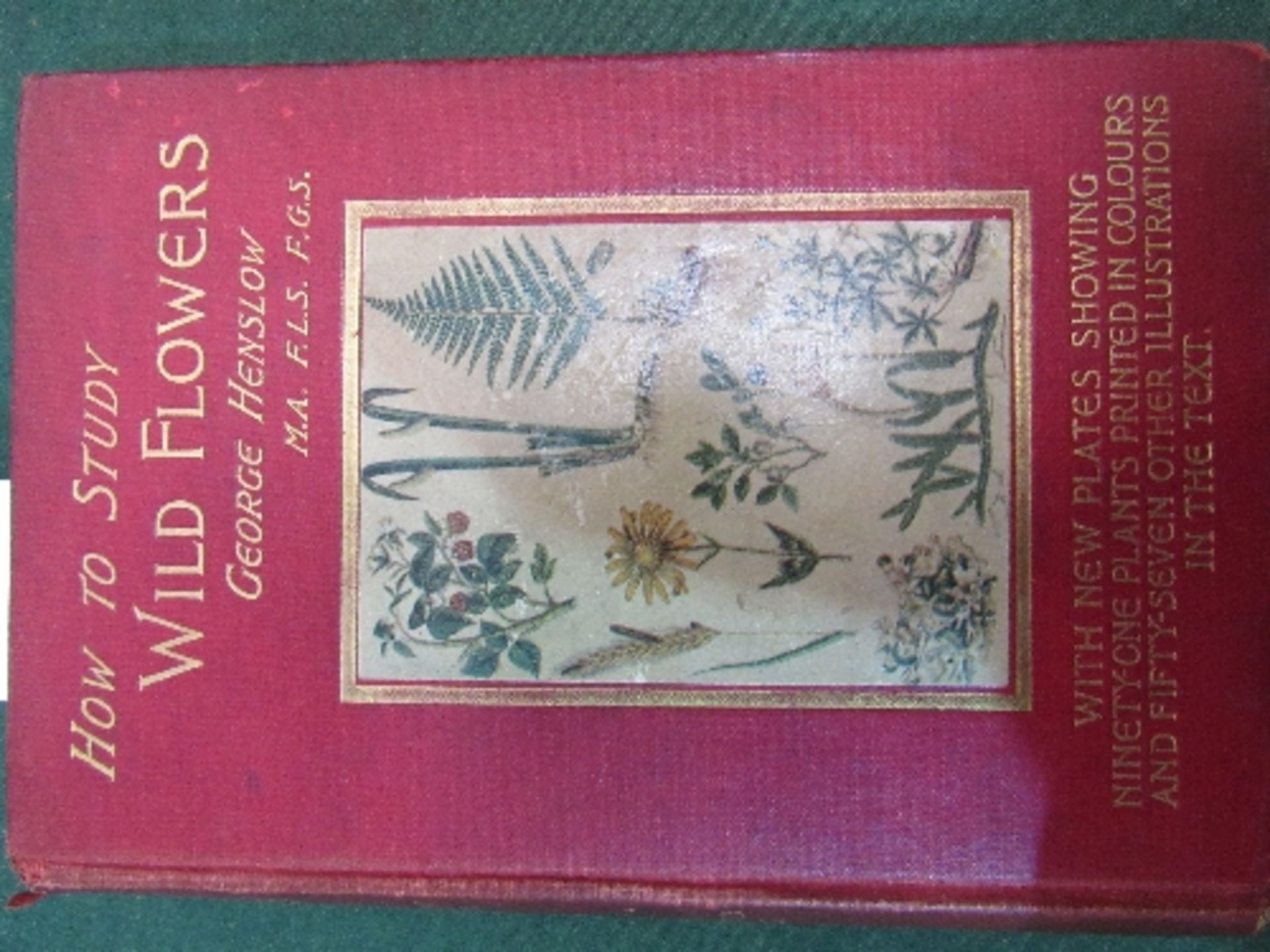 How to Study Wild Flowers by George Henslow, 1908. Price guide £10-15.