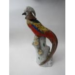 19th century Ernst Bohne Sohne, Rudolstadt, Thuringia Golden Pheasant figurine. Price guide £70-