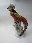 19th century Ernst Bohne Sohne, Rudolstadt, Thuringia Golden Pheasant figurine. Price guide £70-