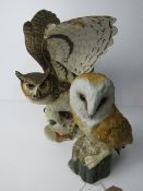 Leonardo Collection Barn owl & Franklin Mint Great Horned owl