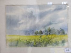 Framed & glazed watercolour of oilseed rape in bloom, signed Frankie Cummins (local artist).