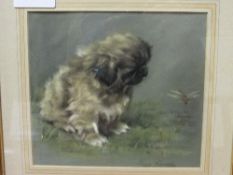 Framed & glazed pastel painting of a Pekinese, signed Persis Kirmse