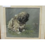 Framed & glazed pastel painting of a Pekinese, signed Persis Kirmse