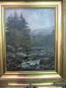 Gilt framed oil on canvas river & mountain scene. Estimate £30-50.