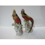 Pair of Ernst Bohne Rudolstadt golden pheasants. Estimate £100-150.