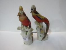 Pair of Ernst Bohne Rudolstadt golden pheasants. Estimate £100-150.