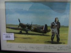 Framed & glazed watercolour of a Spitfire & pilot with signatures to mount. Estimate £20-30.