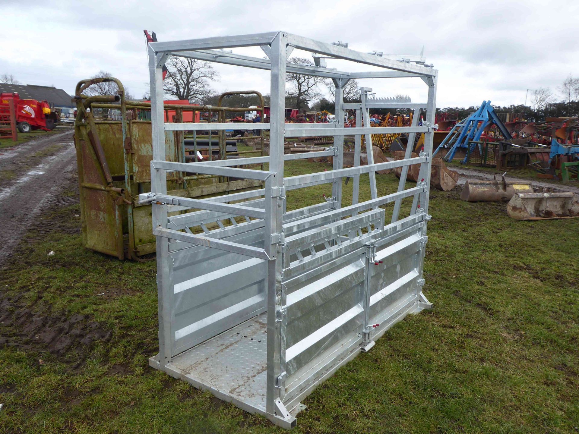 3628 New galvanised cattle crush