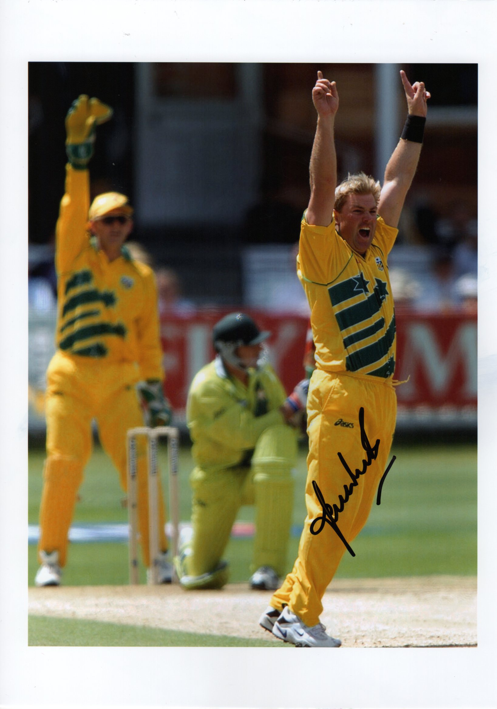 CRICKET: Selection of multiple signed (1 - Image 11 of 16