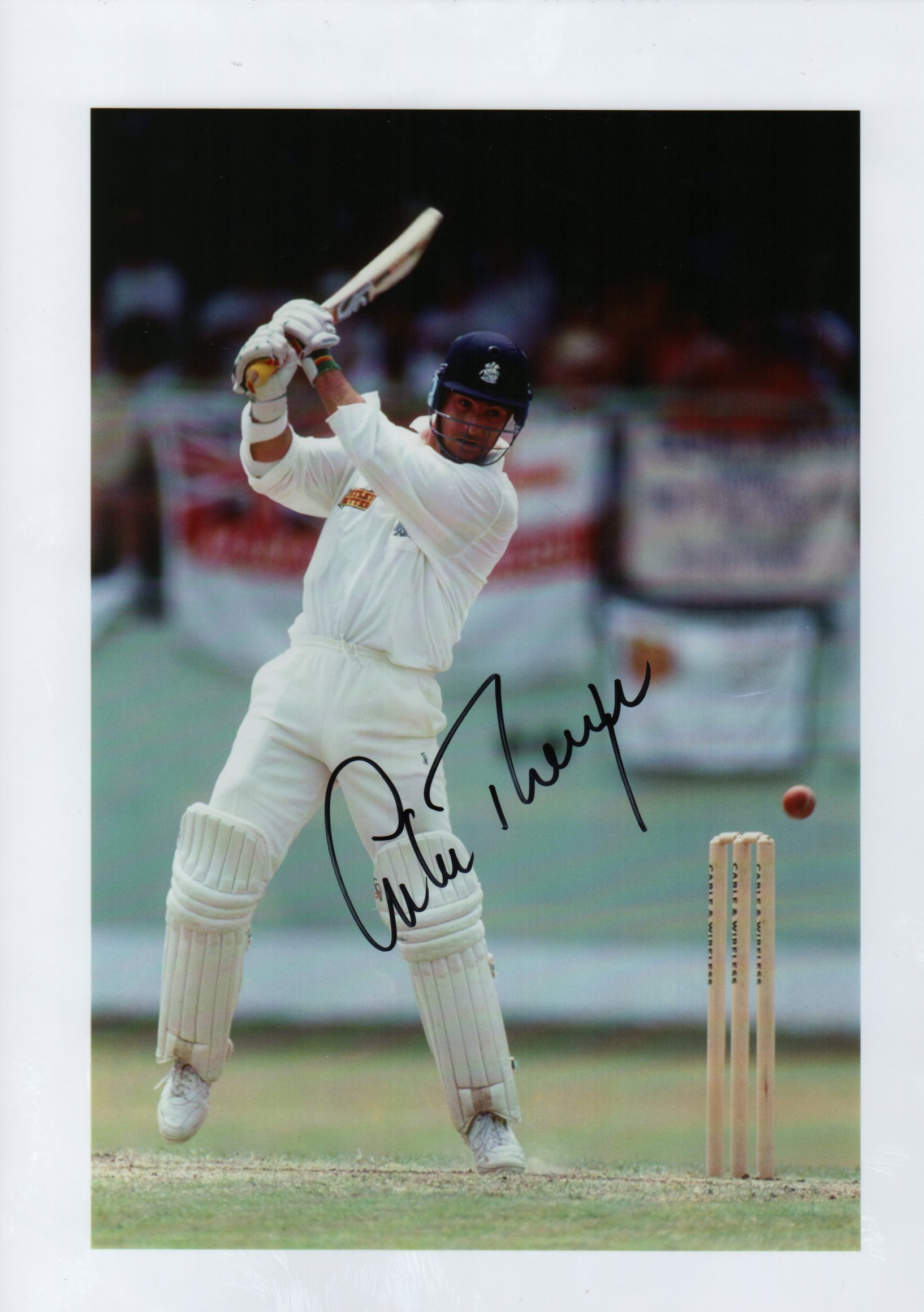 CRICKET: Selection of signed 8 x 12 (11) - Image 19 of 19