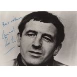 RISING DAMP: Small selection of signed p